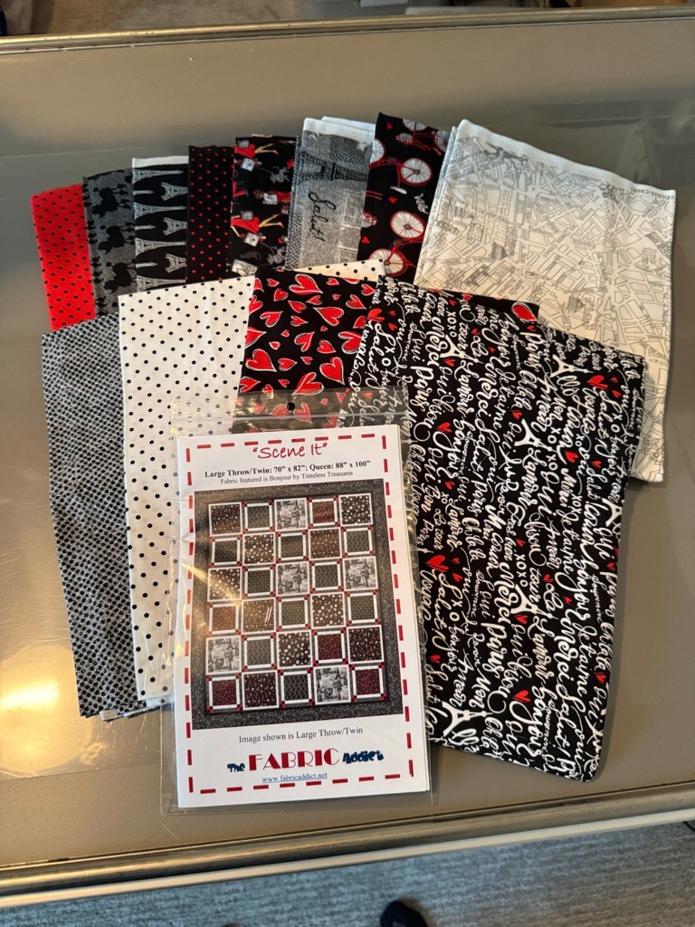 Timeless Treasures - Bonjour Quilt kit - Paris/ France 88” x 100” + pattern